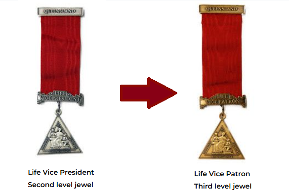 Life Vice President to Life Vice Patron